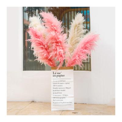 China Pampas grass 2021 popular high quality natural cream ins decor pink home interior decoration large dry pampas grass for sale