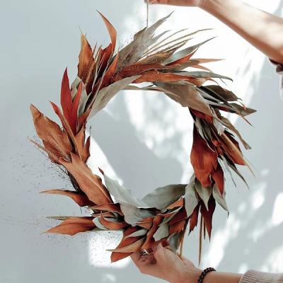 China Home Decor Taoxi Exclusive Custom Natural Leaf Dry Flower Garland for sale