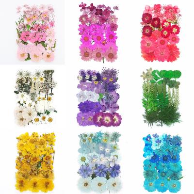 China Makeup Preserved Mixed Colorful Handmade DIY Flower Fower Dried Natural Plant Stand Spending For Candle Phone Case for sale