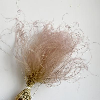 China High quality home decor products dried feathery stipe for bride bouquet for sale