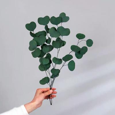 China Home Decor Wholesale Yunnan High Quality Preserved Apple Leaves Everlasting Eucalyptus For Wreath Design for sale