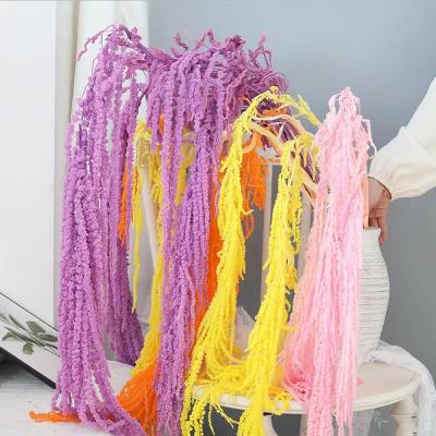 China High Quality Natural Preserved Amaranth Decoration Wedding Decor for sale