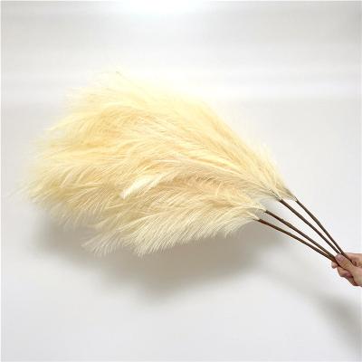 China Wholesale Hot Sale 18 Branches Colorful 2021 Beautiful Ins Artificial Pampas Grass Artificial Pampas Grass For Wedding Flower Arrangements Home Decoration for sale