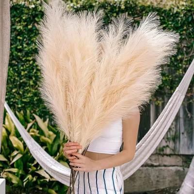 China 2022 Beautiful Amazon Amazon Hot Sale Colorful Fake Long Artificial Pampas Grass for sale