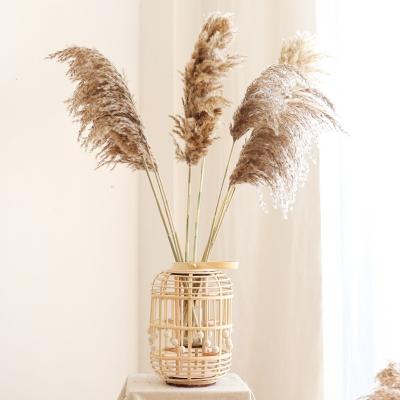 China Wholesale Home Decor Hot Sale For Sale Small Natural Dry Pampas Grass for sale