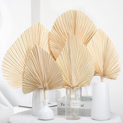 China Simple popular 2022 new trends dried palm leaf bleached beige fan for boho design for sale