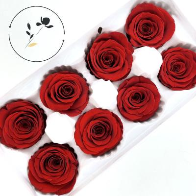 China 2021Yunnan Taoxi Rose Head Hot Sale Natural Preserved Grade 8 Fresh Rose A Heads For Gift Box Decoration for sale