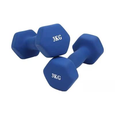 China - Small home gym dumbbell set for easy weightlifting for sale