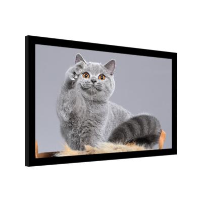 China Fixed Frame Black Velvet Projector Screen For Projector for sale