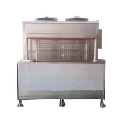 China Industrial Freeze Immersion Freezer Liquid Fast Food Food Freezer Iqf Cabinet Freezer for sale