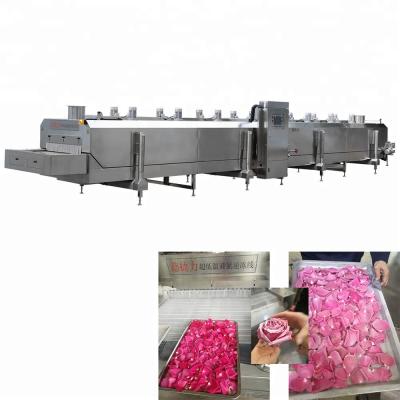 China Out-of-season fruits DJL liquid nitrogen shock freezing equipment for rose/flower iqf tunnel flash freezer for sale