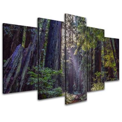 China Modern 5 Panel Sunset Trees Natural Canvas Prints Forest Pictures Art Painting For Wall for sale