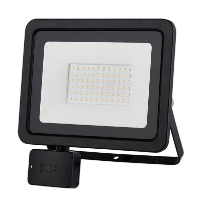 China Cheap Factory Price Residential 100 Watt 50w LED Flood Light Portable Outdoor Waterproof Flood Light Lamp With PIR Sensor MW Sensor for sale