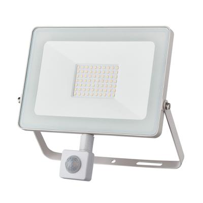 China Cheap Theme Park Factory Price 30 Watt 30w Portable LED Flood Light Flood Light Flood Light With PIR Sensor MW Sensor for sale