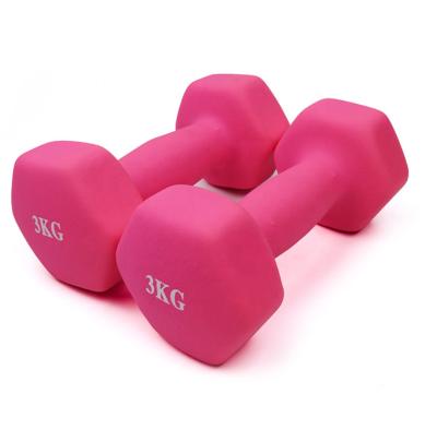 China Dumbbell 10kg PVC Neoprene Plastic Dip Coated Cast Iron Dumbbell Pink Hex Solid Dumbbell for sale