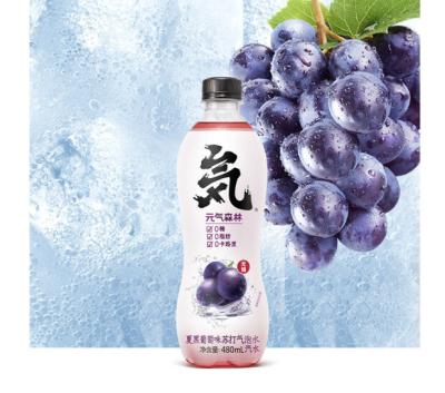 China Yuanqi normal Forest Sparkling Water 480ml for sale