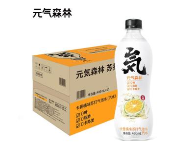 China Yuanqi normal Forest Sparkling Water 480ml for sale