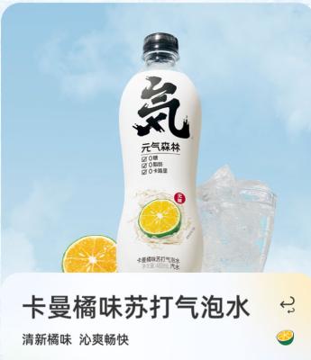 China Yuanqi normal Forest Sparkling Water 480ml for sale