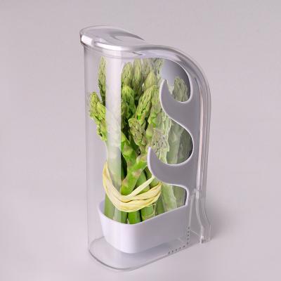 China Saver Viable Fresh Container Clear Herb Keeper Best For Freshest Product Taste Preserver For Mint Parsley Asparagus for sale