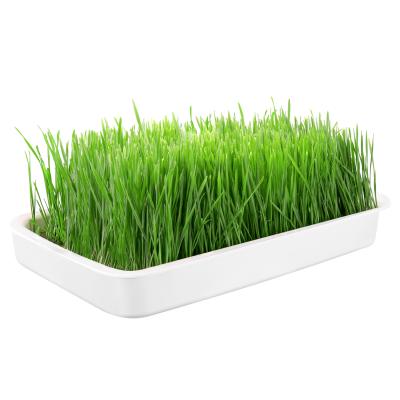 China J&C Reusable Microgreens Growing Kit Home Indoor Microgreens Garden with Microgreens Trays for sale