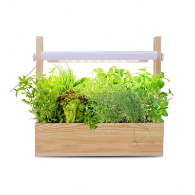 China Decorative J&C Minigarden Fawnel Herb Garden System Plant Smart Cultivator with Lightweight Indoor Hydroponic Systems for sale