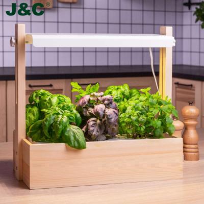 China J&C Decorative Minigarden Fawnel - Smart Grow Lights For Plants Growing Vegetables Indoors With Lights 2021 for sale