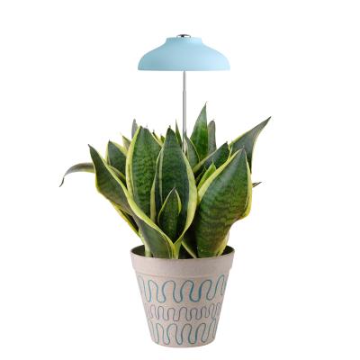 China Height Adjustable Indoor Garden High Quality Sky Blue USB Umbrella Lamp Indoor Led Grow Lights for sale