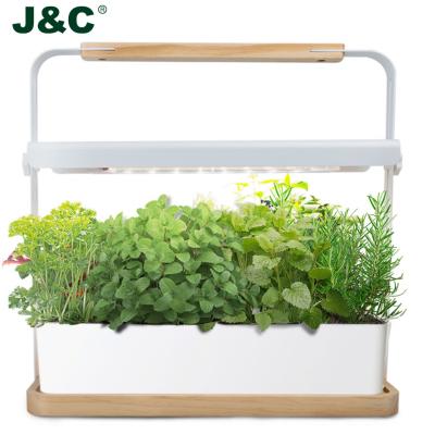 China Decorative Indoor Smart Hydroponics Garden Planter J&C Minigarden Growing System With Led Grow Light 2021 for sale