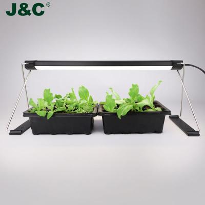 China Succulents Growing New J&C Minigarden Hydroponics Indoor Herb Garden Led Grow Light Seed Starter Plant Grow Light 2022 for sale