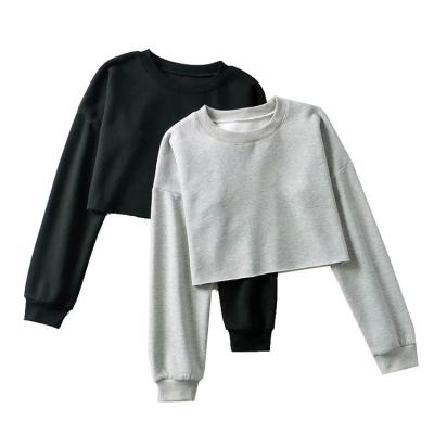 China Custom Plain Pullover China Manufacturer New Loose Long Sleeve Women's Crop Tops Crewneck Sweatshirt Anti-wrinkle for sale