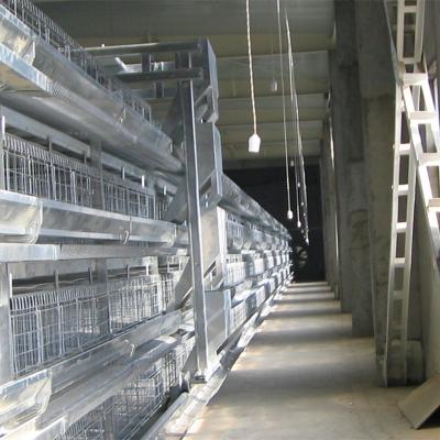 China Durable H-TYPE AUTOMATIC CAGE BROILER FEEDING SYSTEM for sale