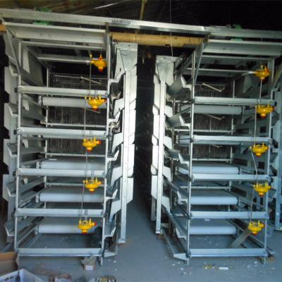 China Save Space Full Automatic H Type Battery Egg Layer Chicken Cages Cage for sale