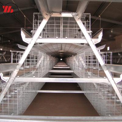 China Durable Hot Sale Automatic Stainless Steel One Layer Type Poultry Cage Chicken Cage for sale