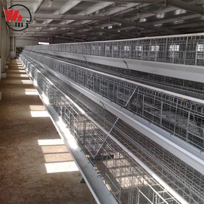 China Improve Productivity Efficiency Factory Price Chinese Poultry Battery Design Galvanized One Layer Type Chicken Cage for sale