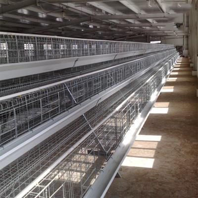 China Improve Productivity Efficiency Construction Hot Dip Galvanized Metal A Type Chicks Raising Cages for sale