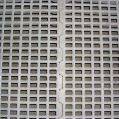 China Easily Assembled Plastic Chicken Slat Floor for Fram Broiler for sale