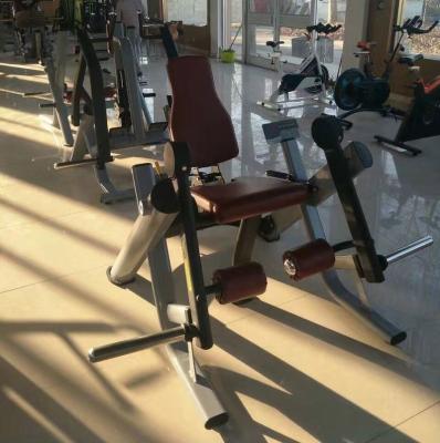 China ASJ-M604 Healthy Hot Selling Commercial Stay Fitness Equipment Leg Extender Sports Fitness Equipment Strength Machine for sale