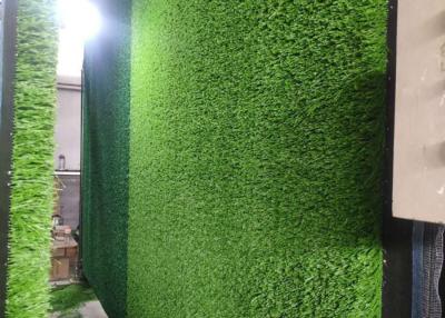 China 6800 Dtex Outdoor Artificial Turf Lawn Fake Grass For Terrace Wall Decoration for sale