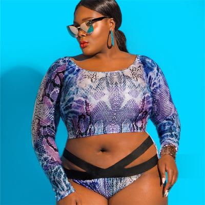 China Wholesale Cheap Plus Size Sleeve Snake Print Pattern Tankinis Swimsuit Wholesale Long Factory Price Plus Size Swimwear For Fat Women for sale