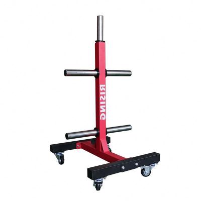 China Eco-friendly Gym Multi System Squat Rack Plates Rack Power Weight Rack for sale