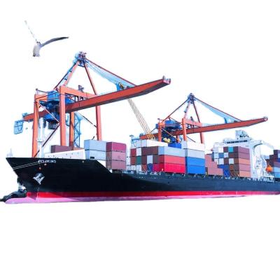 China Shenzhen To Colombia Sea Freight Forwarder To Medellin Port Via Top  Awesome Lcl Shipment for sale