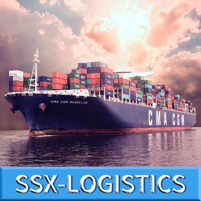 China Freight Forwarder Sea Shipping Service From China To Pakistan Karachi Ocean Transit Time Logistics Wednesday Sales Conta for sale