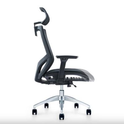 China Lumbar Support Aluminium Base Three Dimensional Dynamic Office Chair-819zw for sale