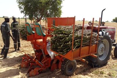 Chine Planteur plat de graine de rangée de la machine 100hp deux de planteur du manioc 0.5ha/H à vendre