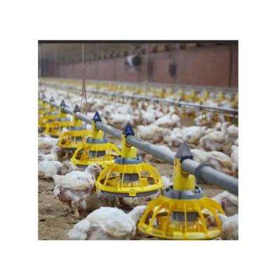 Chine Poulet de alimentation automatique de production animale de contrôle ambiance/équipement de ferme avicole à vendre