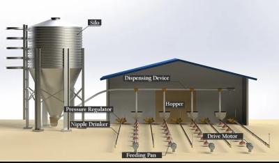 China Automatic Poultry Control Shed Equipment For Chicken Broiler And Breeder for sale