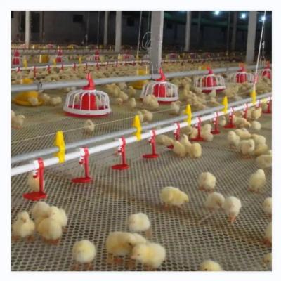 Chine Équipement de ferme avicole automatique de cage de poulet avec le système de ventilation à vendre