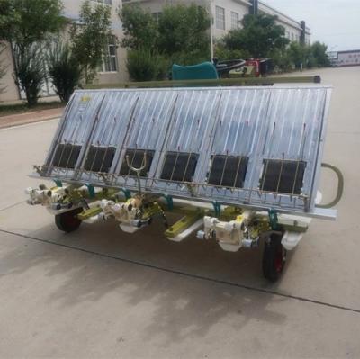 China Agricultura 6 filas Paddy Transplanter Machine, espacio Mini Rice Transplanter de la fila de 300m m en venta