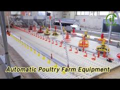 Chicken Automatic Poultry Farm Equipment With Ventilation System