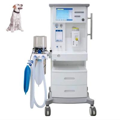 China Hot Selling Portable Anesthesia Machine Veterinary Anesthesia For Veterinarian DM6A for sale